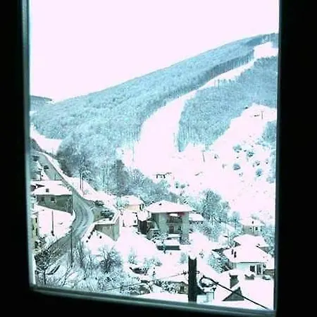 Eleni's Guest house *