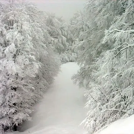 Guest house Eleni's Pisoderi